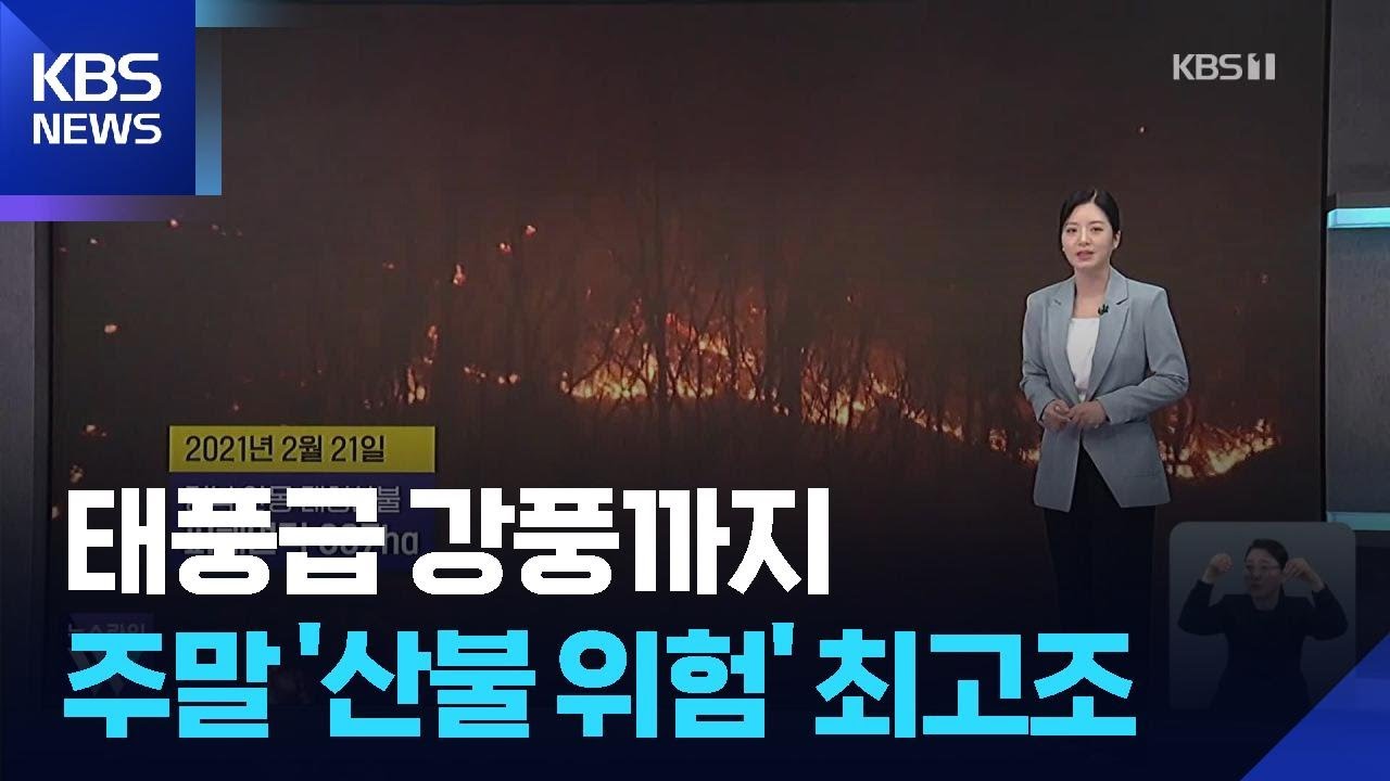 주말 ‘양간지풍’ 분다…영동·영남 산불 위험 급증 / KBS  2026.02.20.