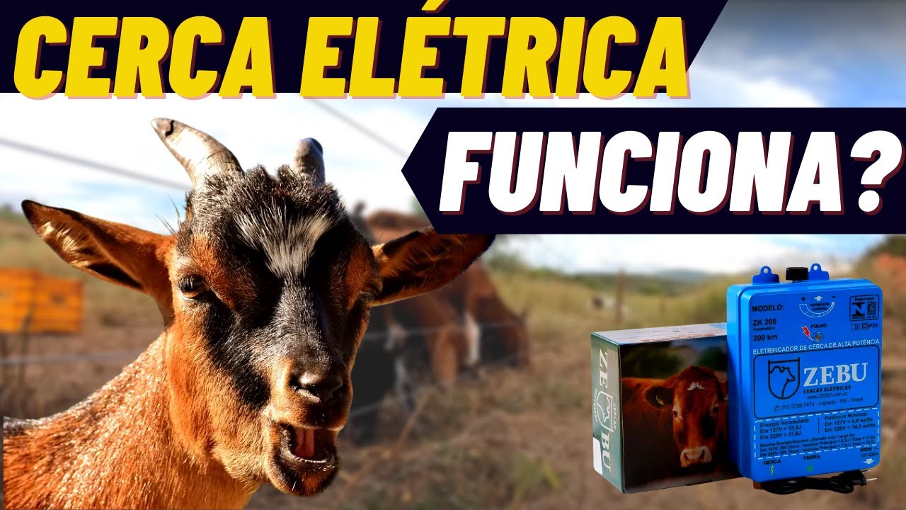 MINHA CERCA ELÉTRICA PRA CABRAS FUNCIONOU????