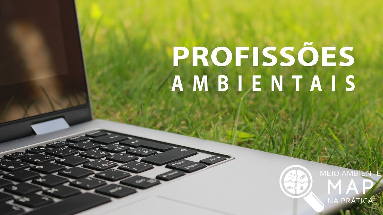 O que fazem os profissionais que atuam com meio ambiente?