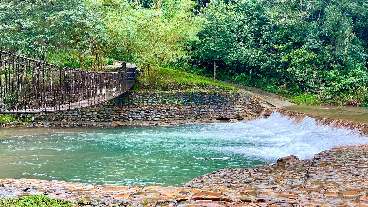 #134. ALBA WELLNESS VALLEY by FUSION, HUẾ -  THIÊN ĐƯỜNG NGHỈ DƯỠNG THANH LỌC THÂN TÂM #retreat 
