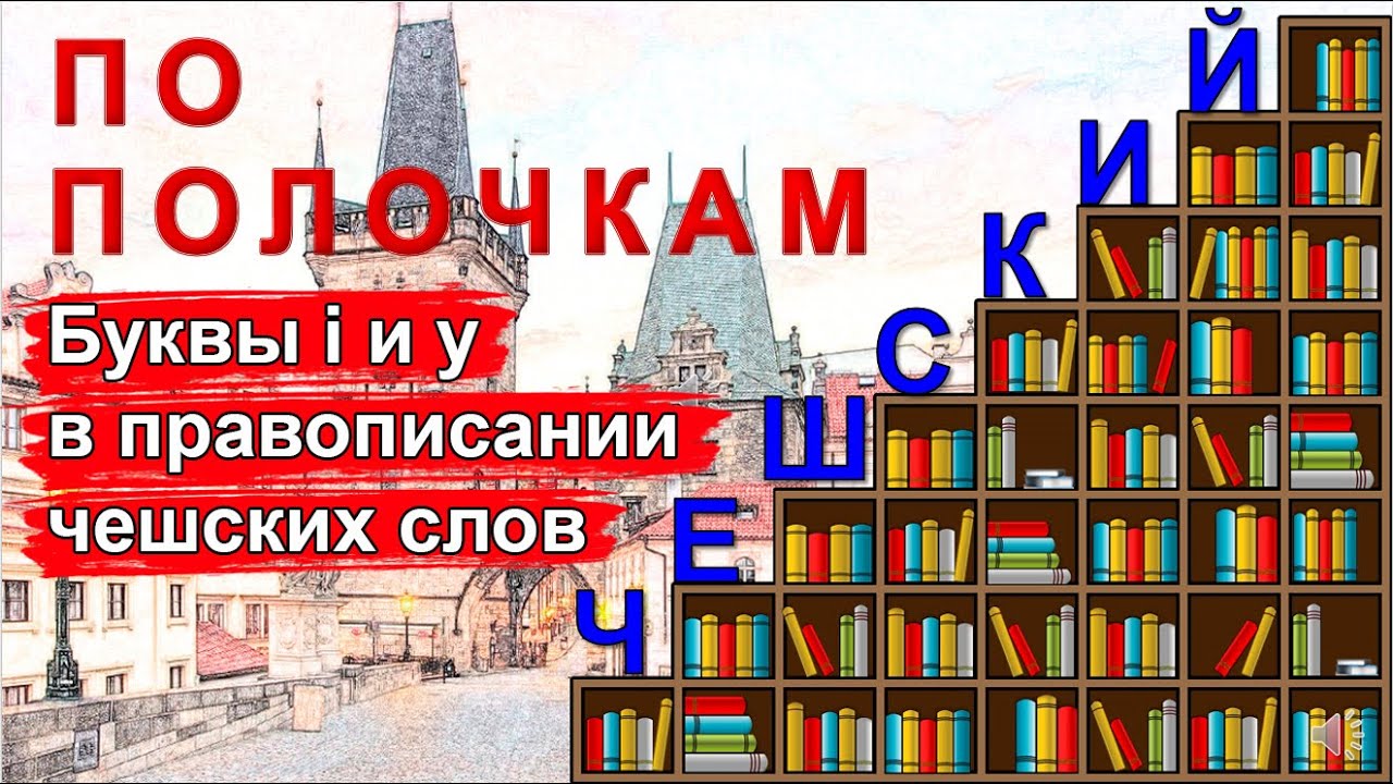 Чешский язык по полочкам: буквы i и y в правописании чешских слов