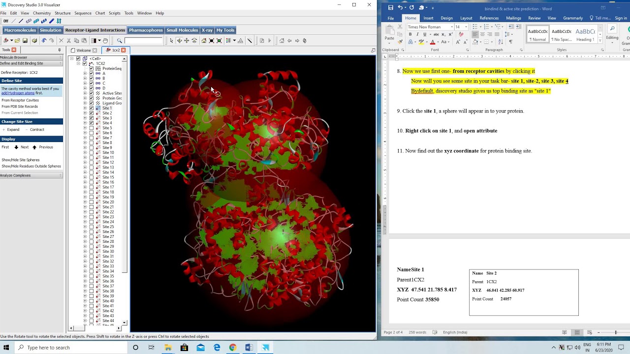 Protein binding & active site prediction by Discovery Studio Visualizer