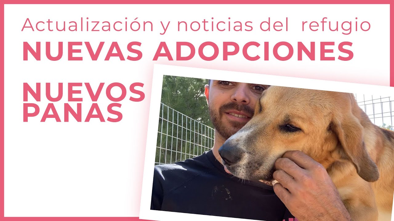 Actualización refugio mes de noviembre 2022 | #Refugio #Adoptargato #Adoptarperro #adopcionanimal