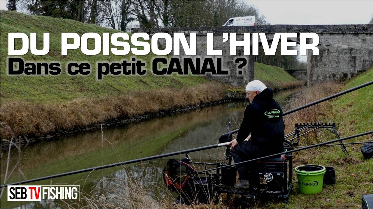 Les poissons sont-ils dans ce petit canal en hiver ?