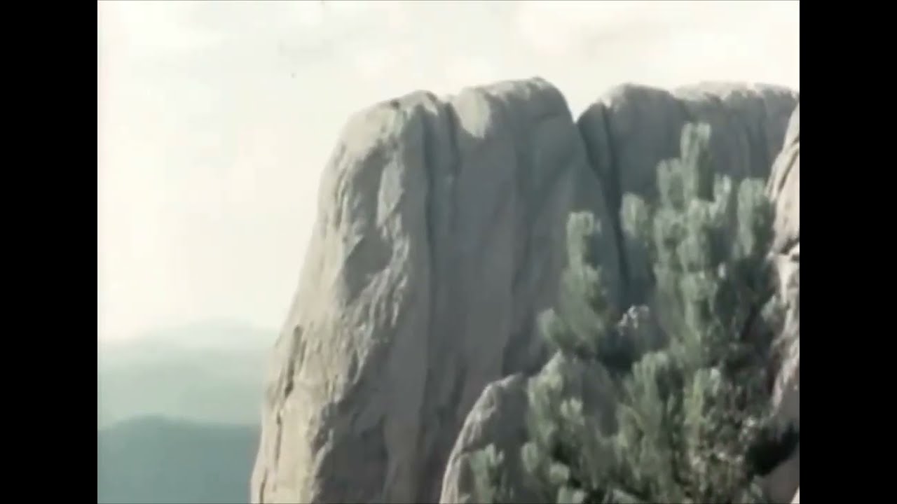Bastian Void - Valley Visions&trade;