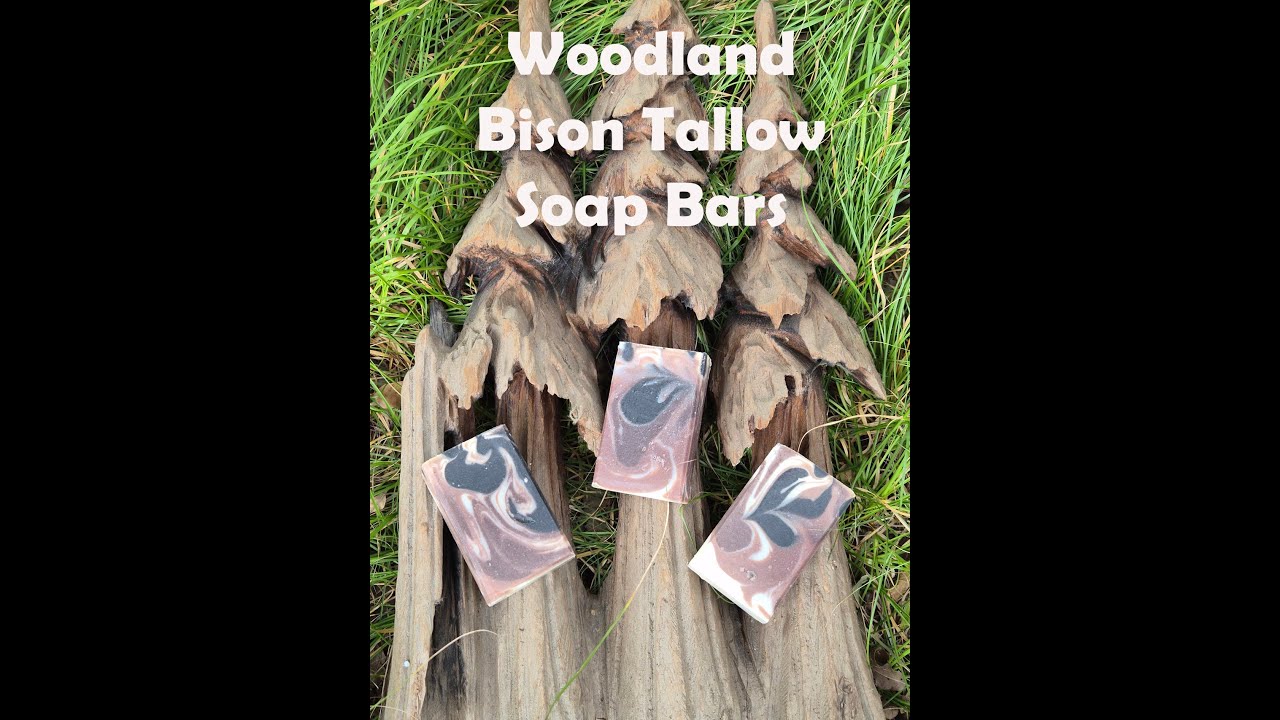 Woodland Bison 2025