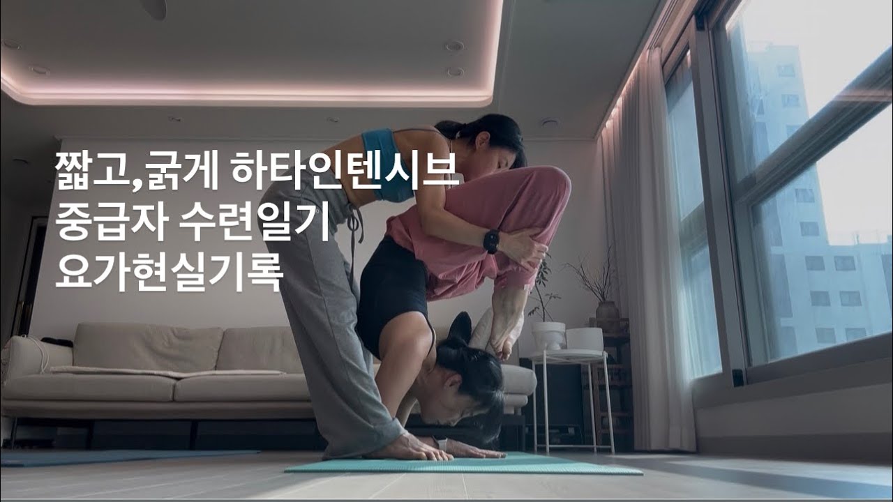 #요가강사 수련일기 #중급하타수련 짧고,굵게 같이 하셔도 좋아요