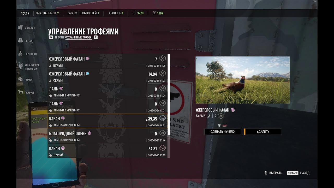 Моя трансляція