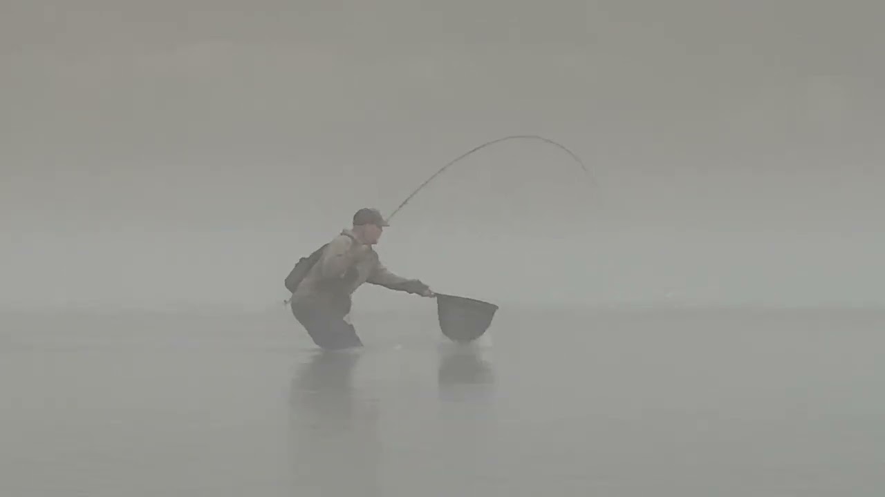 Exploring Squamish River for Pink Salmon