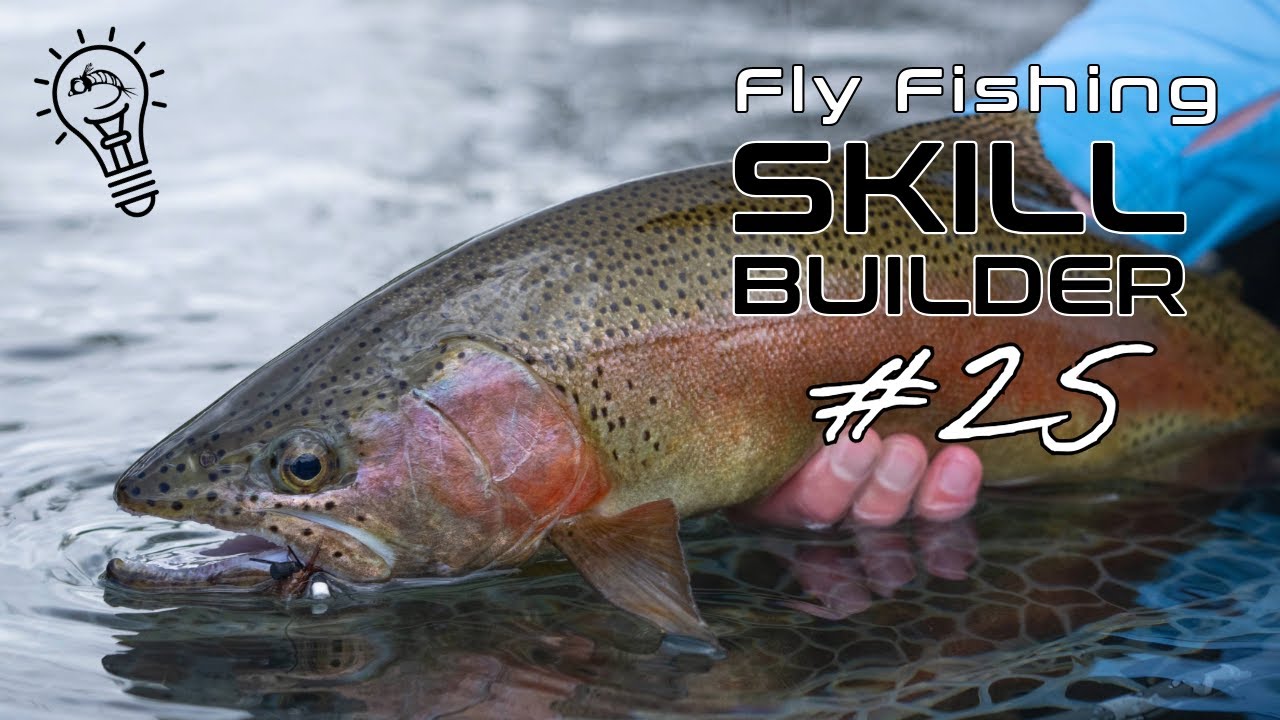 Catch More Fish with This Dry Fly Leader from Lance Egan!