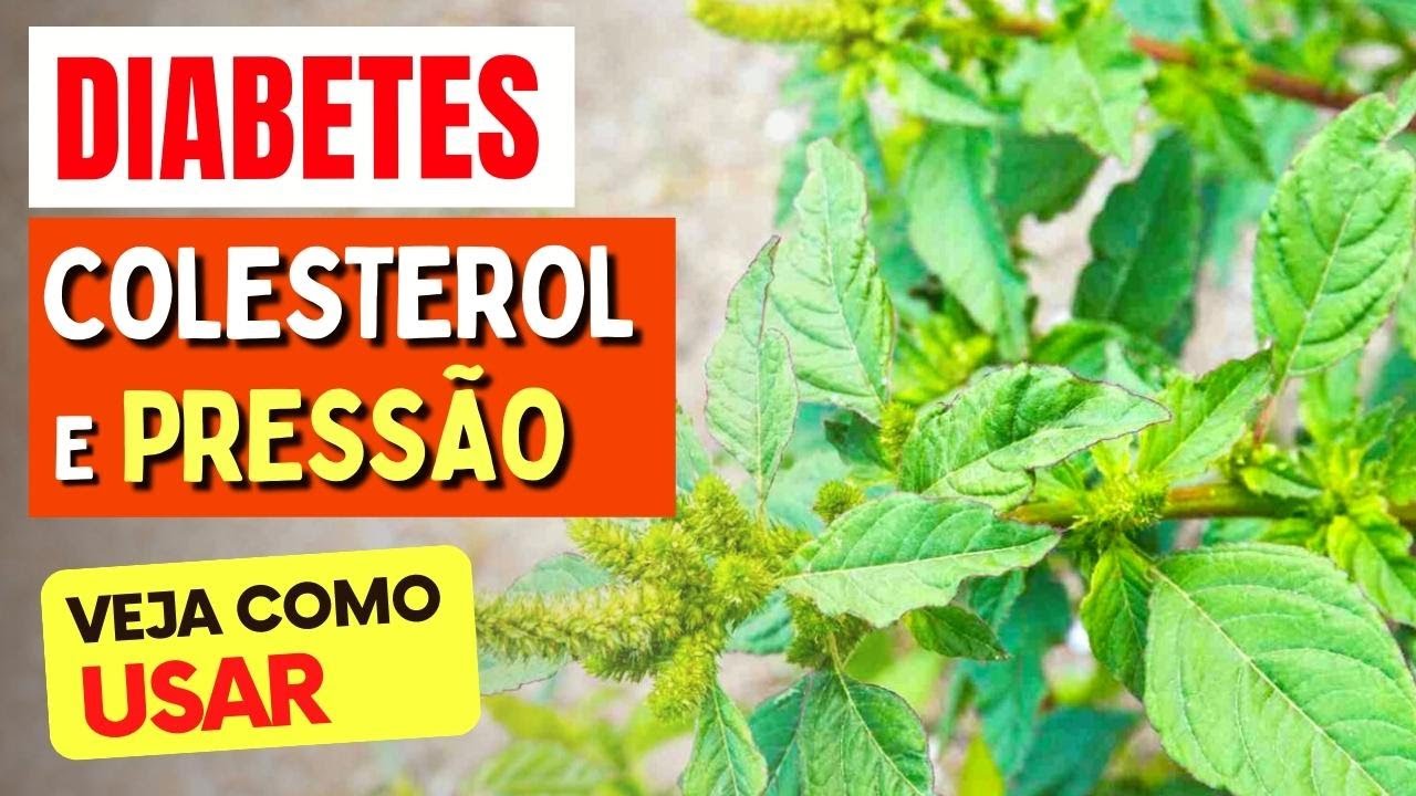 A Planta para DIABETES, COLESTEROL e PRESSÃO - Benefícios do Carurú, Chá, Como Usar e Dicas