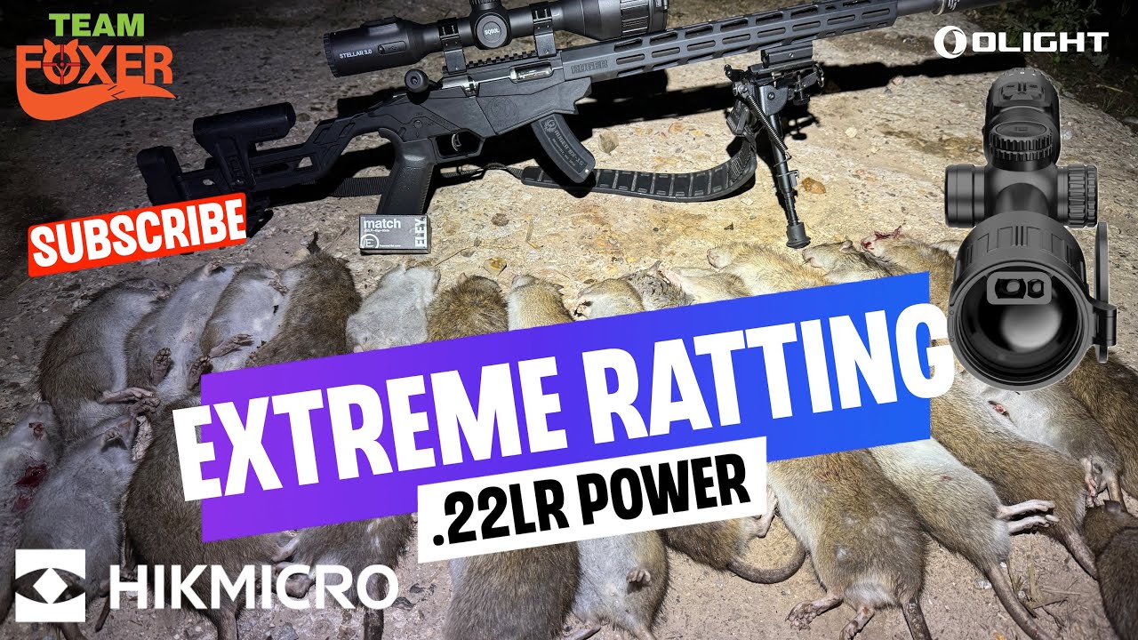 ЭКСТРЕМАЛЬНАЯ оценка нагрузки с новым 22LR
