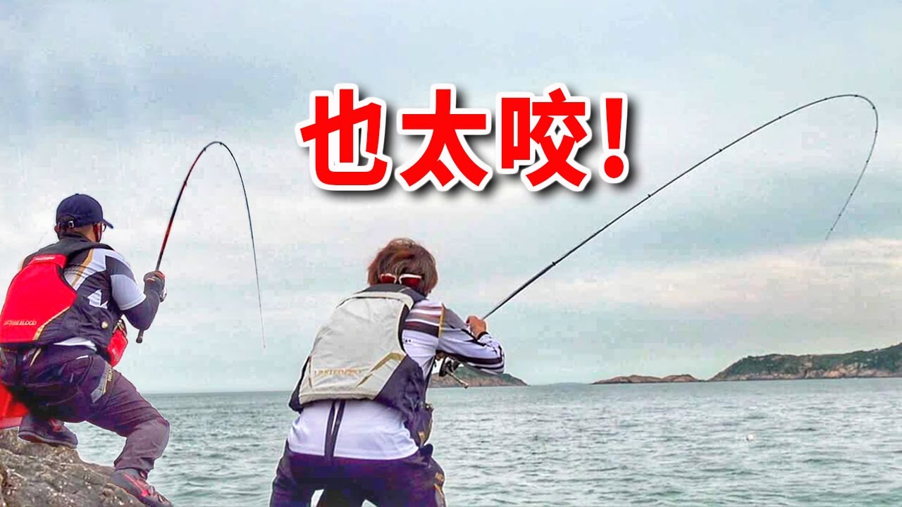 不用上礁也有好釣點 咬成這樣好誇張 還雙中 馬祖北竿磯釣 チヌ釣り Rock fishing【漁樂爽報】Fishing Fun NEWS EP112 #磯釣 #北部釣點 #钓鱼