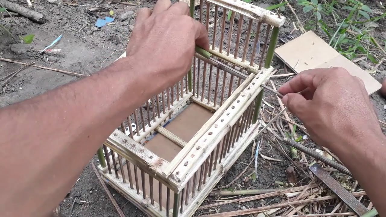 Como fazer Alçapão caseiro de canela de Milho -  parte 2