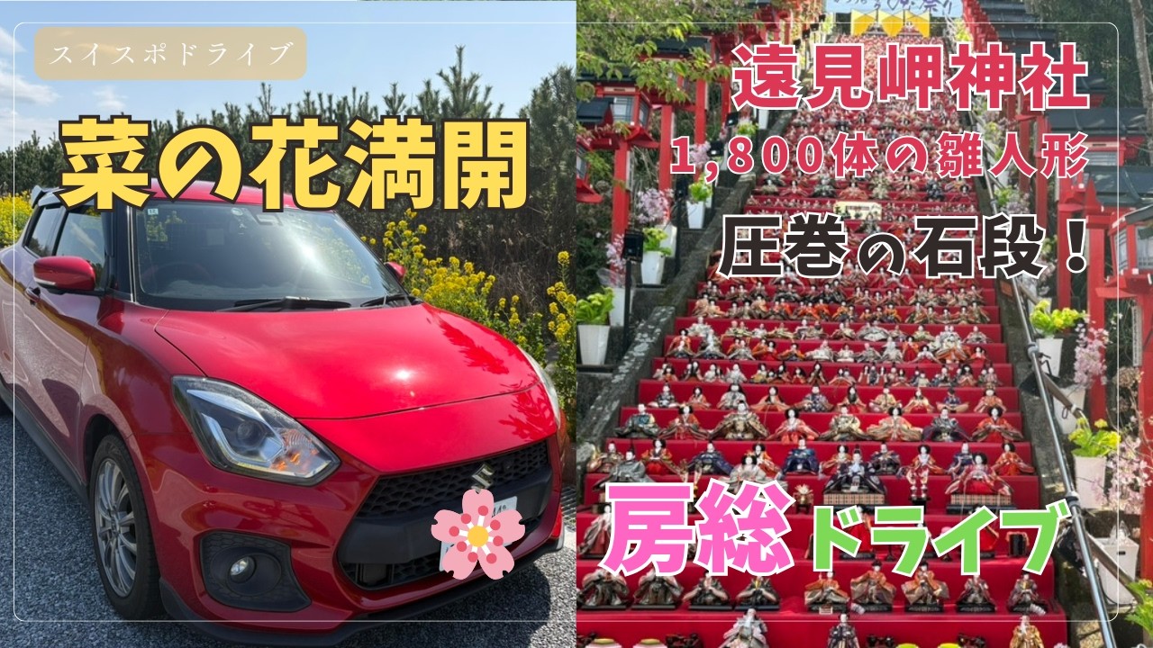 【zc33s MT】満開の菜の花ロードへリベンジ！勝浦ビッグひな祭りの洗礼と奇跡 スイフトスポーツ