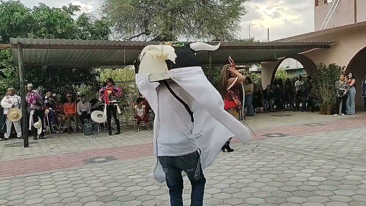 Torito San Martin d porres en santa Anita . Silao GTO