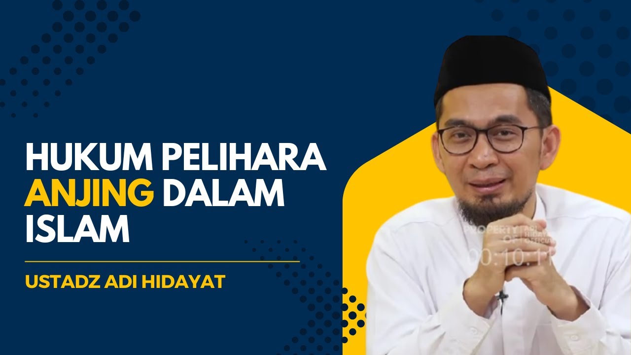 Hukum Pelihara Anjing Dalam Islam - Ustadz Adi Hidayat