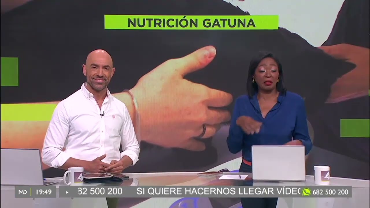 Nutrición felina Hospital Gattos