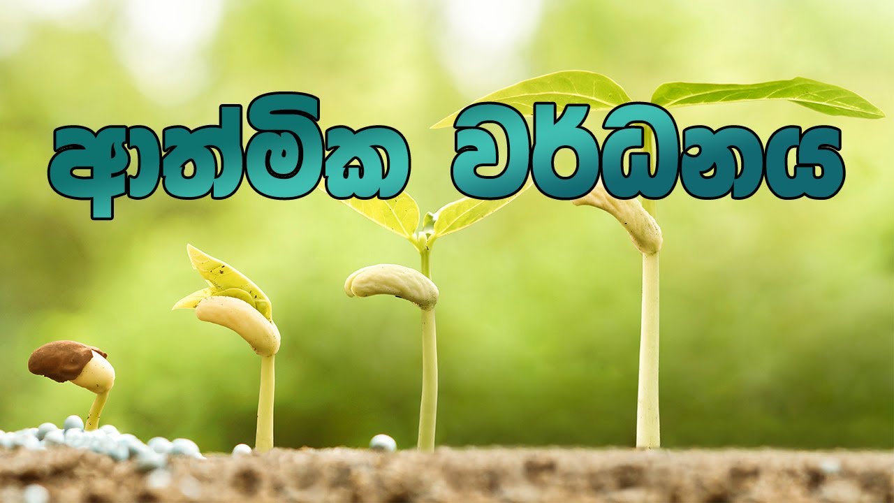 Spiritual Growth (ආත්මීක වර්ධනය) 09th December 2023 The ROAR / Pas. Sajeewa  @theroarglobal