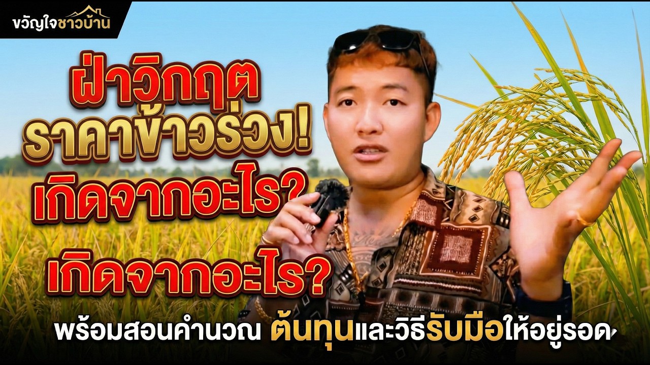 ทำไมทำนาถึงขาดทุน? เจาะลึกราคาข้าวตกต่ำ พร้อมกางบัญชีคำนวณต้นทุนให้ดูชัดๆ!