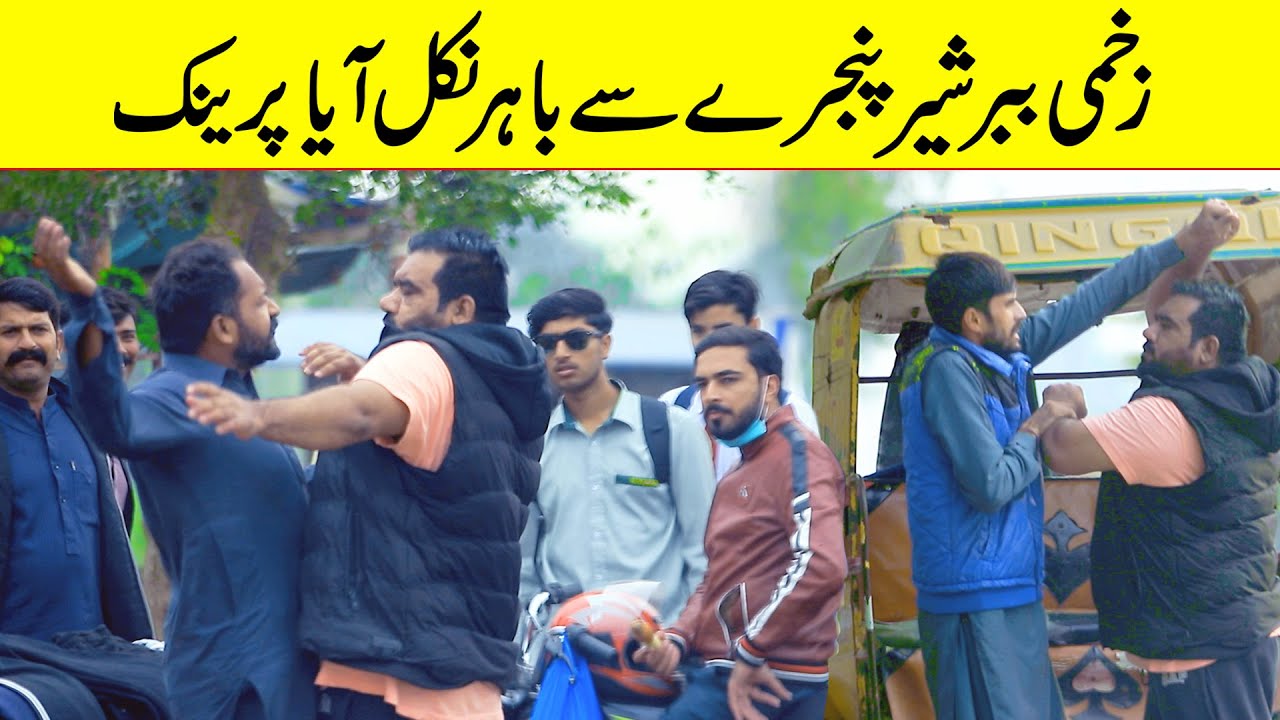 Zakhmi Babbar Sheer Pinjray Se Bahir Nikal Aya Best Prank | @Velle Loog Khan Ali