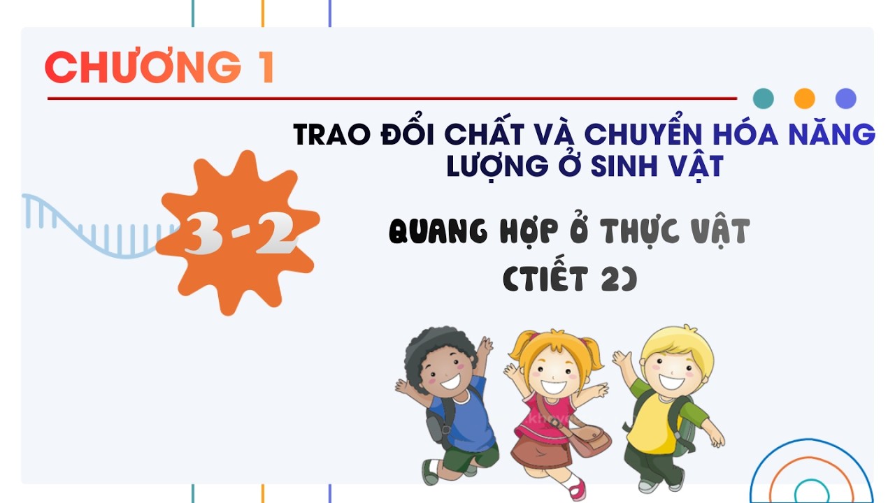 Sinh 11 |Chương 1| Bài 3-2: QUANG HỢP Ở THỰC VẬT (TIẾT 2)