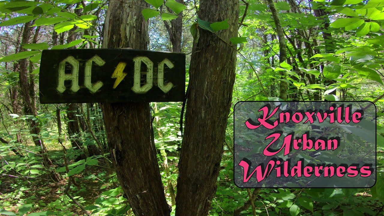 AC⚡DC - Knoxville Urban Wilderness - 6/29/2019 - Mountain Biking - 👜-a-🍩s