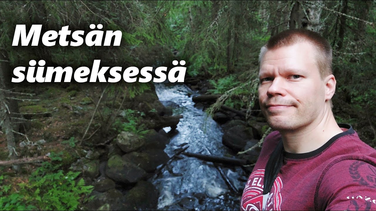 Luontoretki Suovu-Paloselle: Sadetta, ryteikköä, nuotioeväät ja uinti