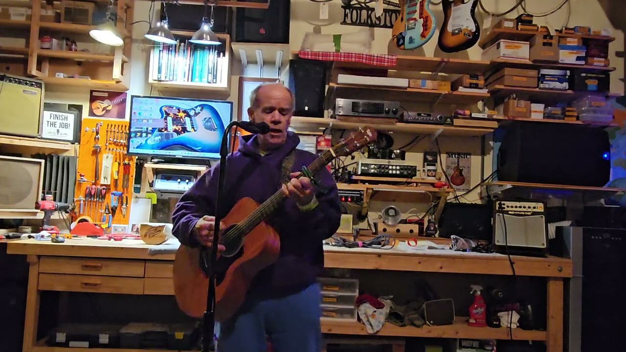 GS Mini Taylor с двумя звукоснимателями