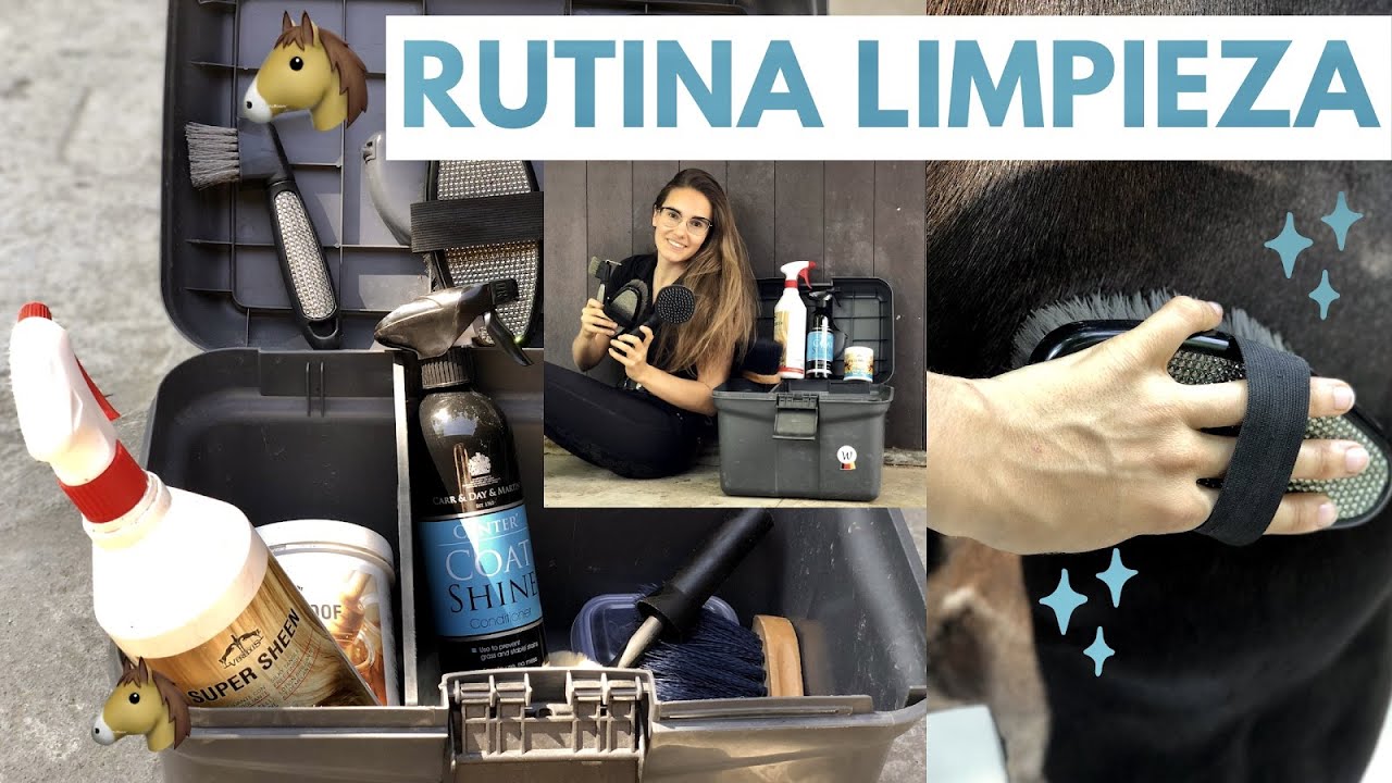 Rutina de limpieza cepillado - CABALLO