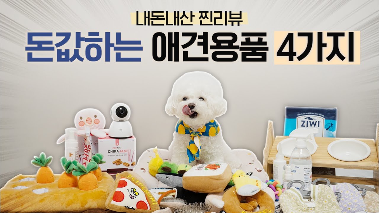 그냥 사세요! 직접 써보니 돈값 했던 강아지 용품 4가지