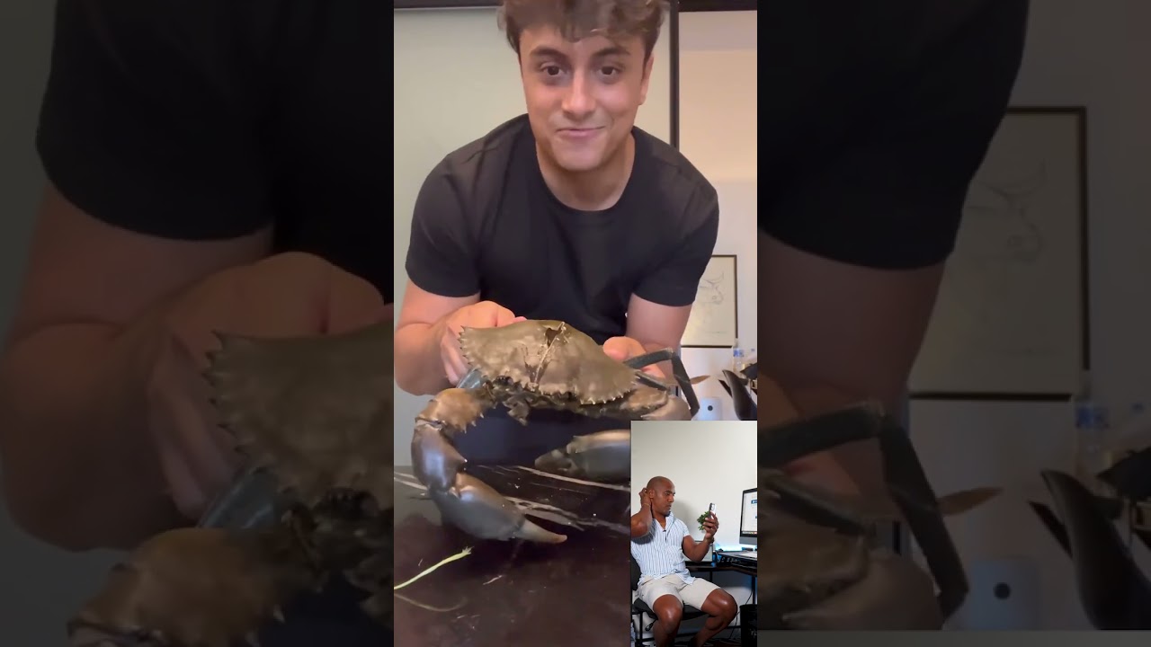 Чувствуют ли крабы боль? Наука говорит 🧬