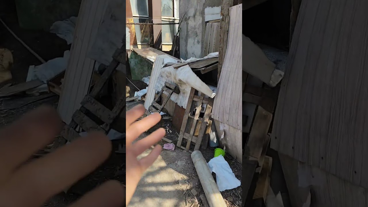 нежелательные гости #мастерская