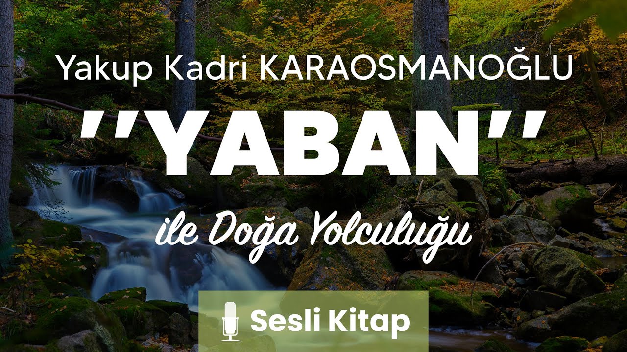 Yaban - Yakup Kadri | Sesli Kitap & Doğa Manzarası | İşitme Engelliler İçin altyazılı | 11.ai