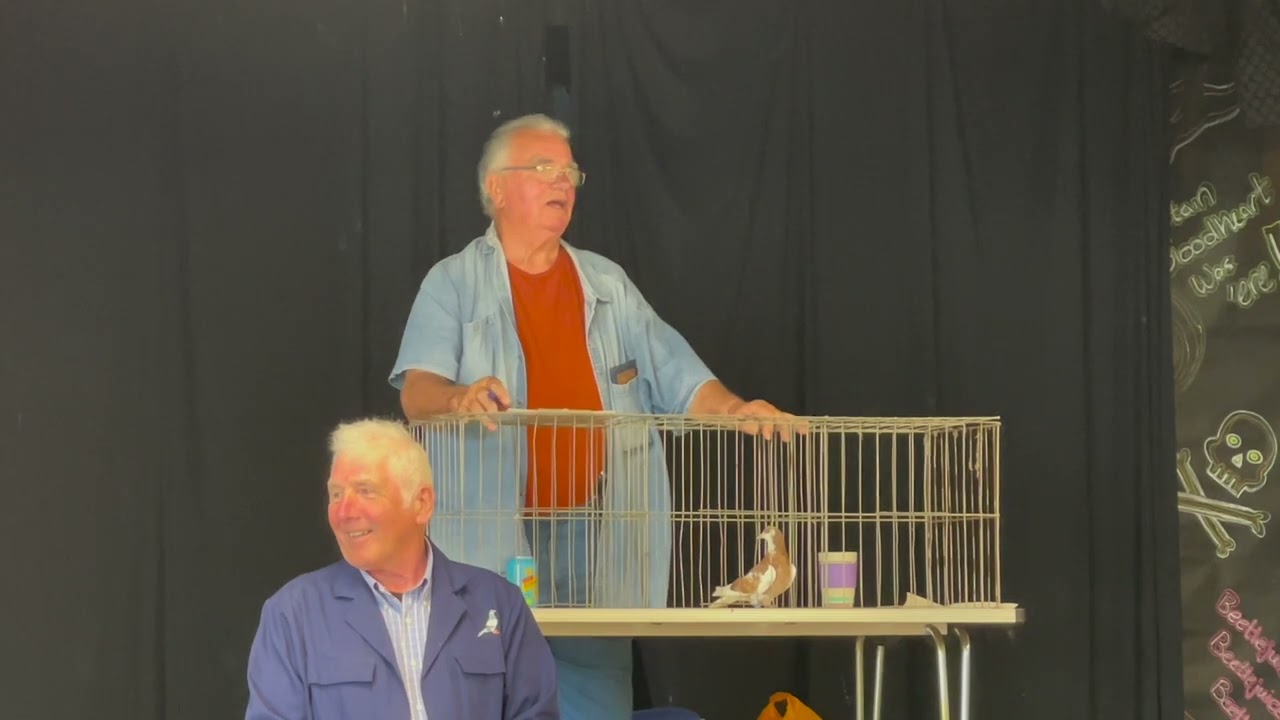 ROLLER PIGEON WORLD   National Roller AGM Auction 7th May 2023