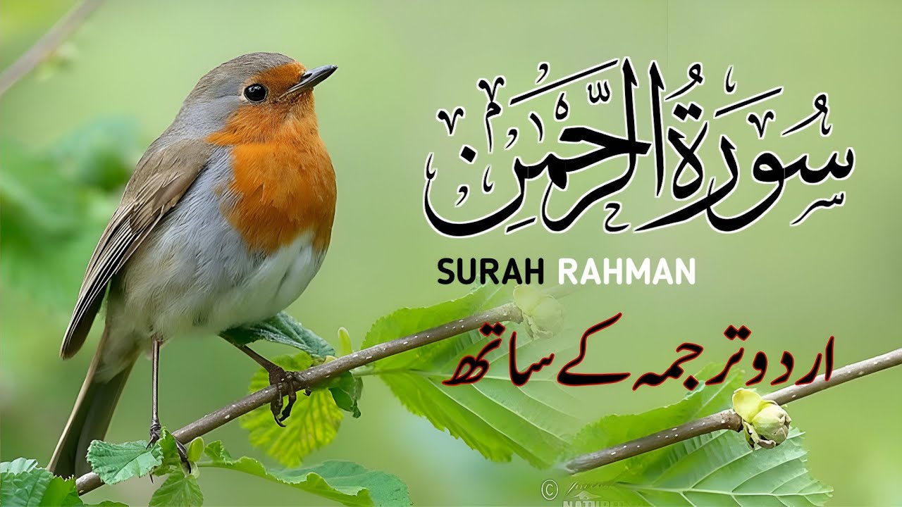 Surah Rahman With Urdu Translation full Qari Al Sheikh Abdul Basit Abdul Samad ( tilawat e quran )