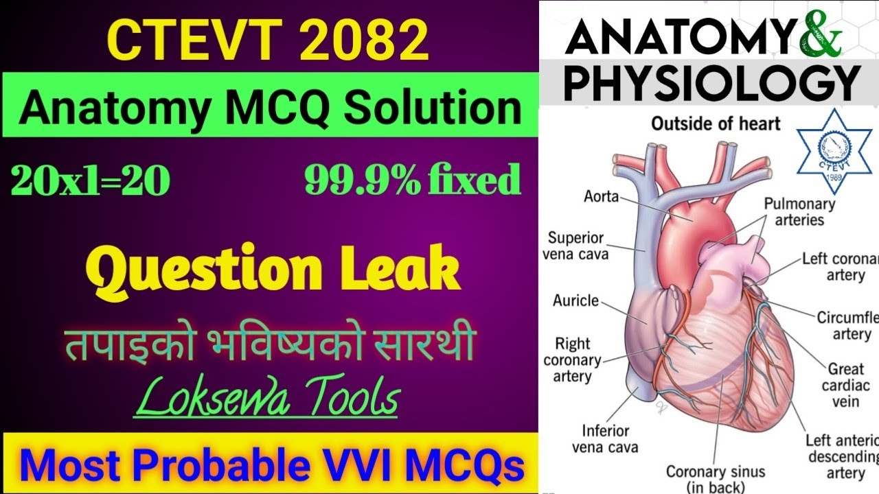CTEVT Anatomy and Physiology MCQs 2082 | Question Leak 🔥 | VVI Unitwise Solution | #anatomy #ctevt 