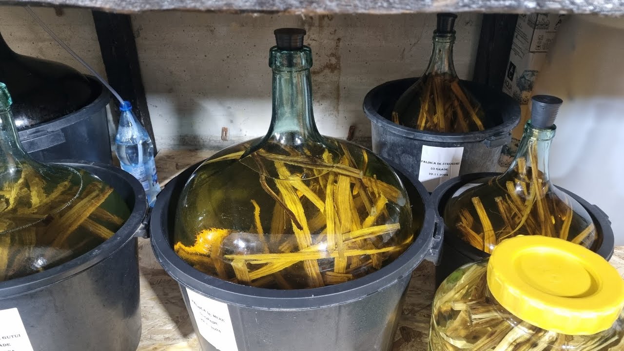 Cum maturez palinca de mere , gutui ,pere cu inima din lemn de salcâm alb uscat ,îngălbenire Palinca