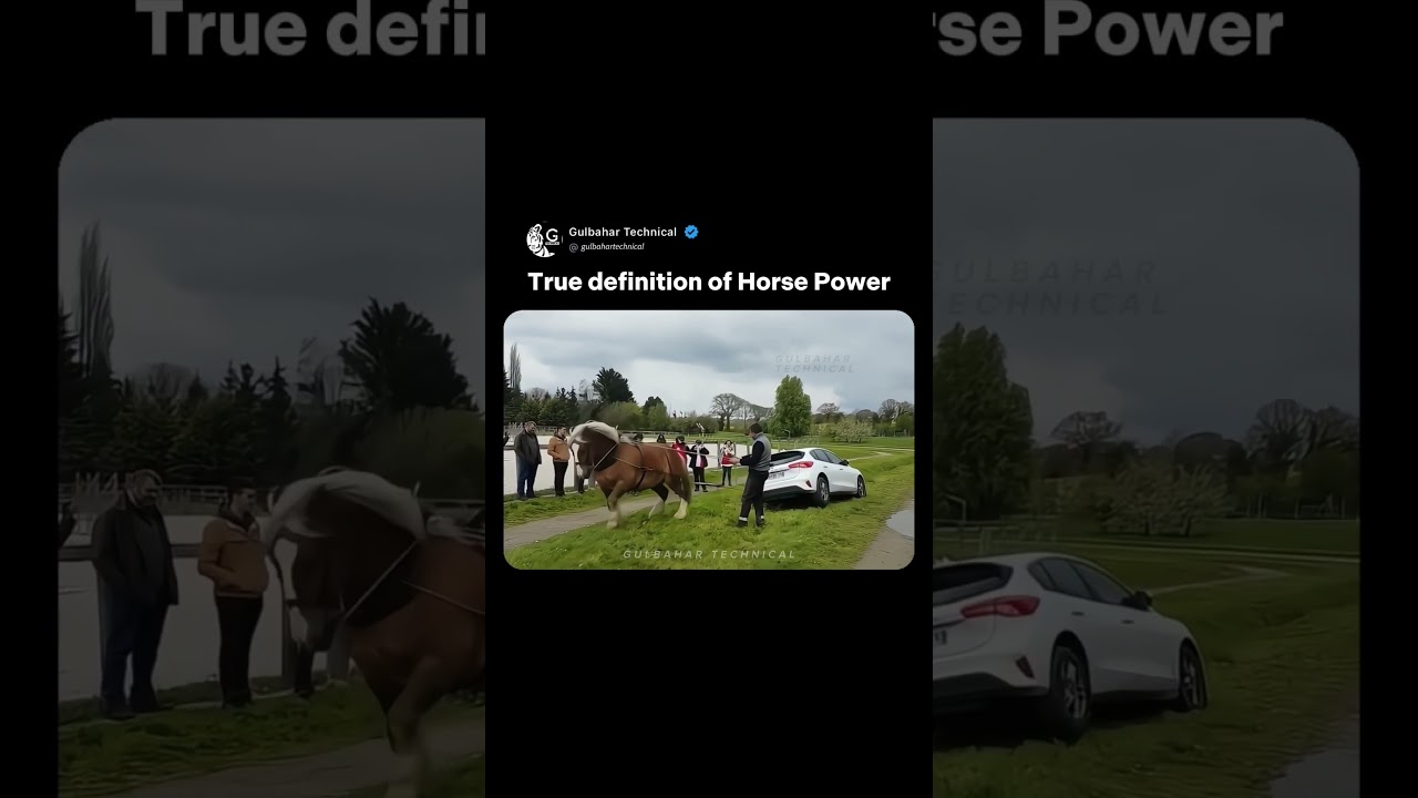 True Horsepower in Action 🔥🐎 | Draft Horse Pulls Car Out of Ditch 🚗