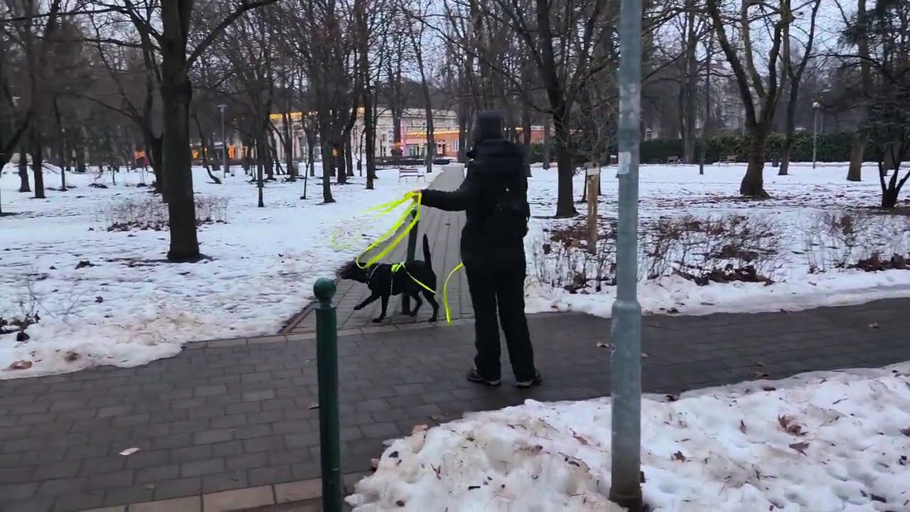2026. január 25.