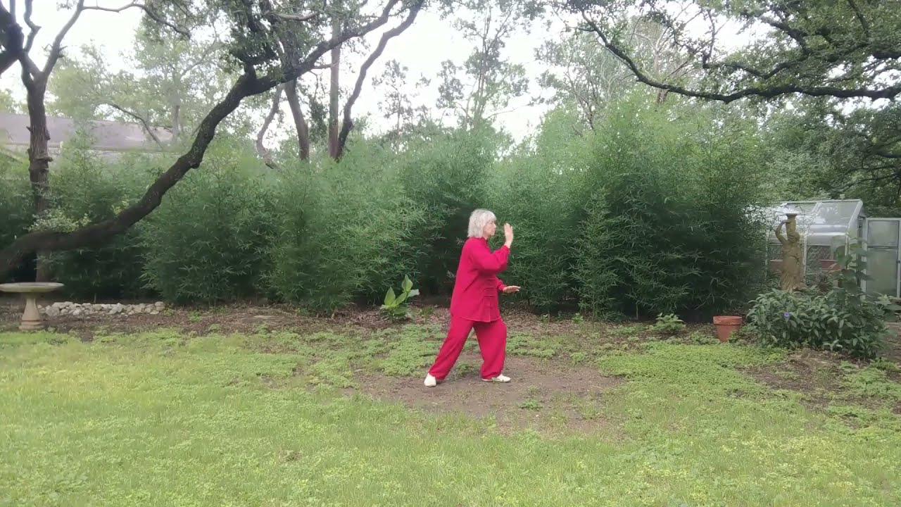 Traditional Sun-style Tai Chi Long Form (Sun 98)
