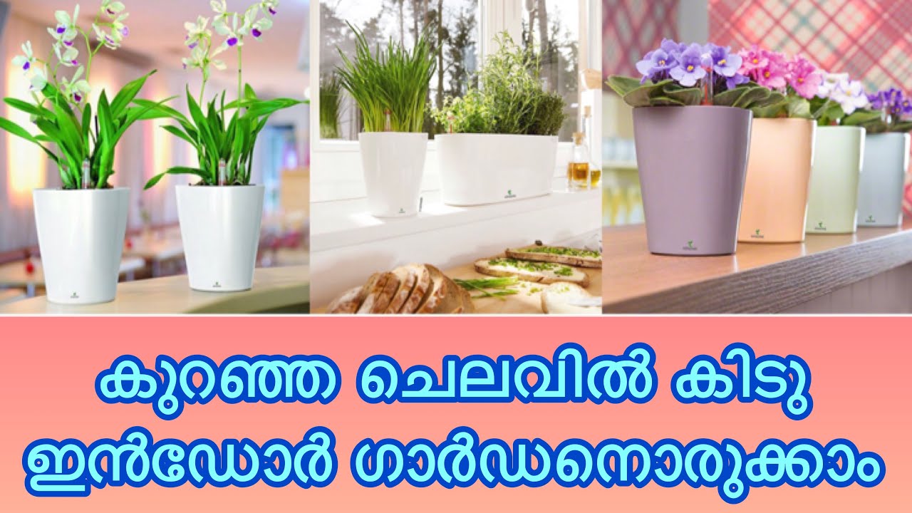 All Your Garden Needs in One Place | Pots | Plants | Grass | Kenzine Garden