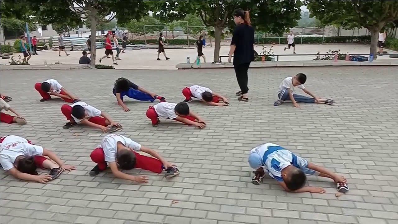 Learn Shaolin Kungf Online Kids Training
