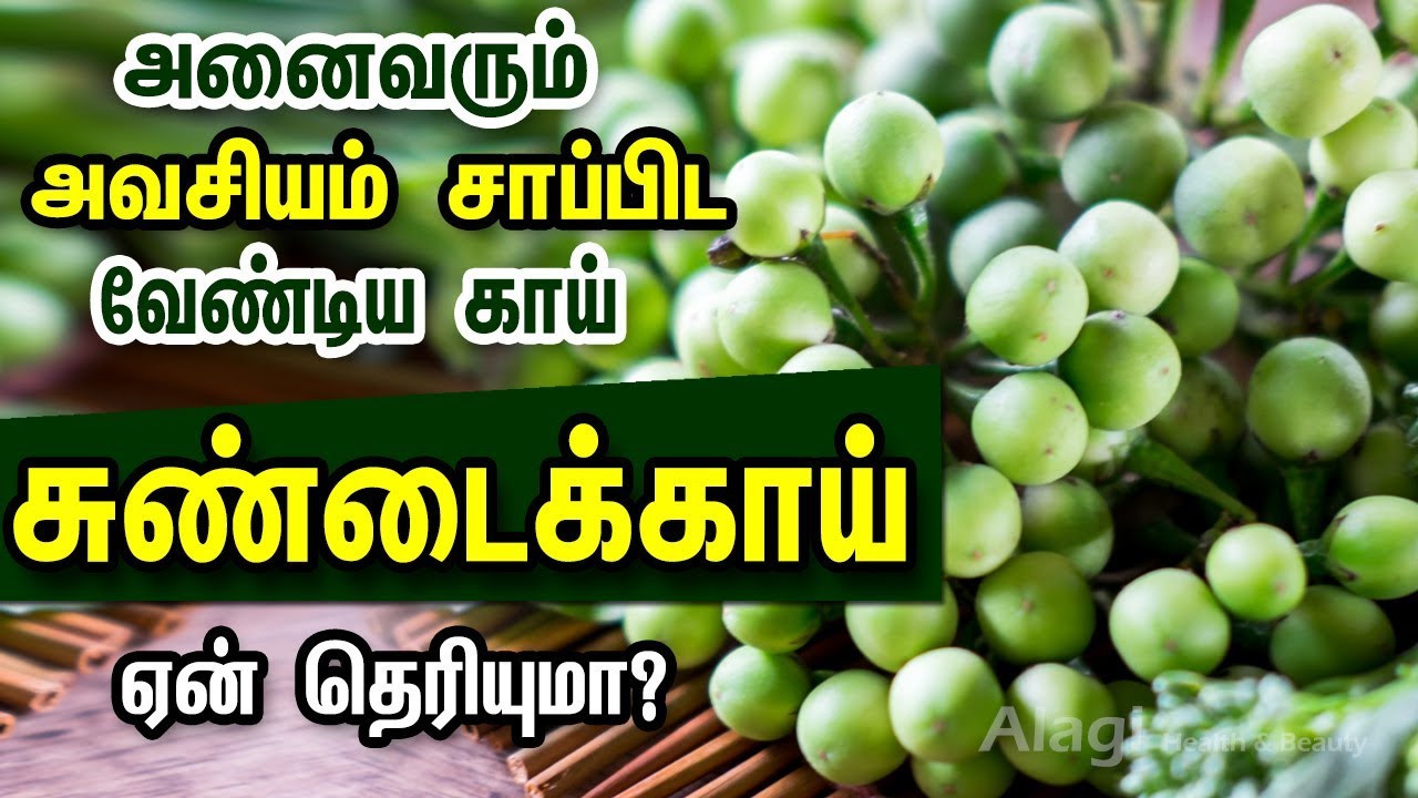 சுண்டைக்காய்  மருத்துவ பயன்கள் | Health Benefits of Sundakkai | Benefits of Payankal | TURKEY BERRY