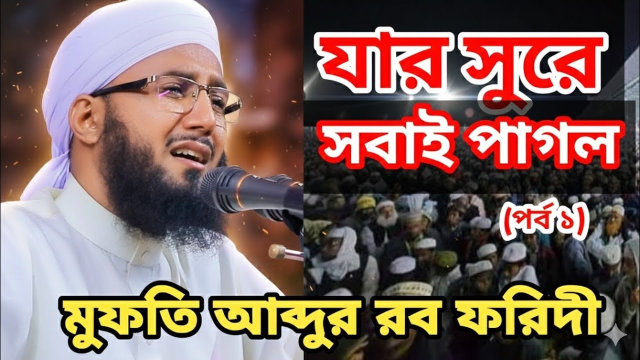 মুফতি আব্দুর রব ফরিদী | নতুন ওয়াজ 