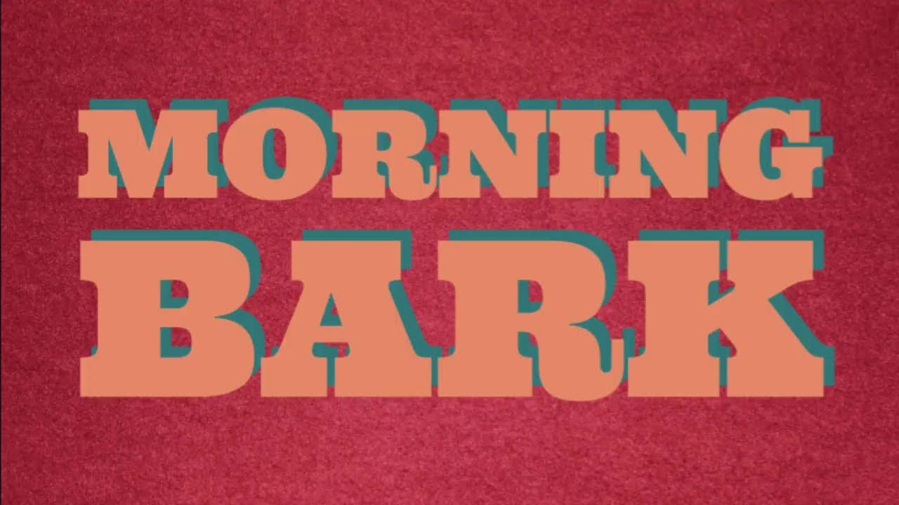 Morning Bark