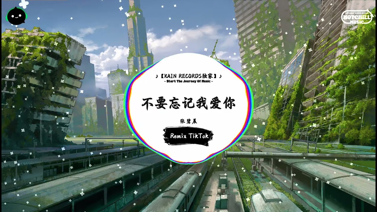 不要忘记我爱你 (抖音DJ版) - 张碧晨『我 都会永远信赖你，无论你将我放在任何空间里。』♪ || 年度最佳抖音歌曲 | 抖音最火歌曲音 | 抖音 | TikTok •|• Douyin ♪