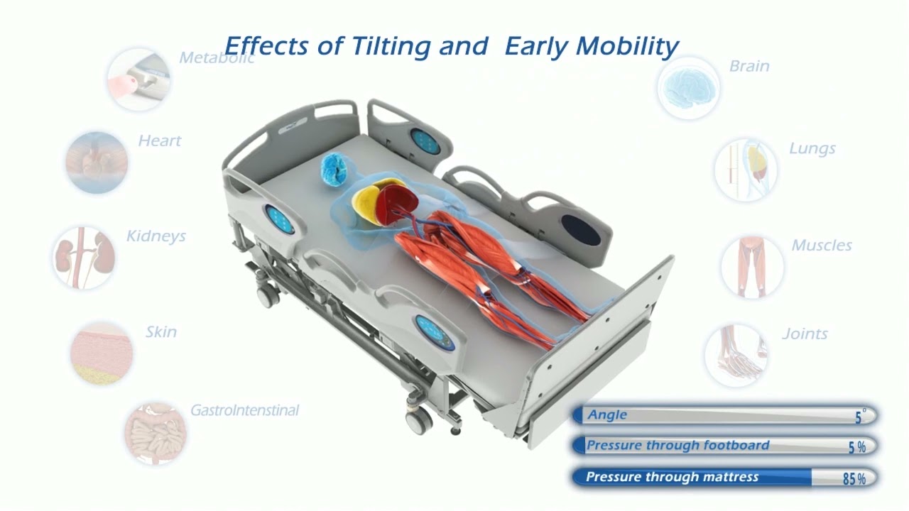PARAMOUNT BED - Hospital Bed - Vital Go Total Lift Bed TM