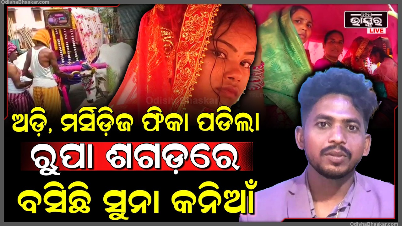 ମର୍ସିଡିଜ ଯୁଗରେ ସୁସଜ୍ଜିତ ବଳଦ ଚଳିତ ଶଗଡ଼ରେ ଓଢଣା ନାଇଁ ଶାଶୁ ଘରକୁ ଆସିଲେ ନବ ବିବାହିତା କନିଆଁ....