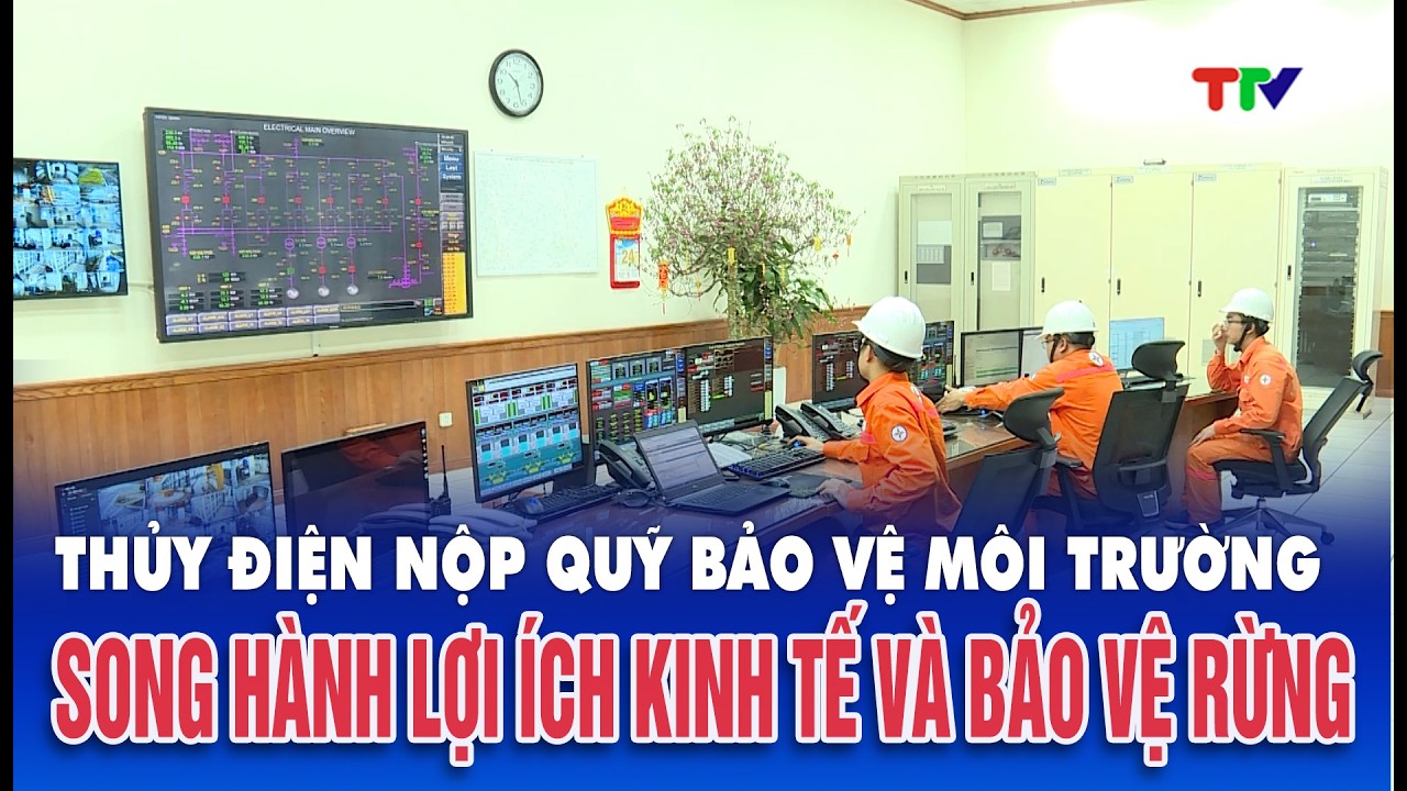 Thủy điện nộp Quỹ dịch vụ môi trường rừng - Song hành lợi ích kinh tế và bảo vệ rừng